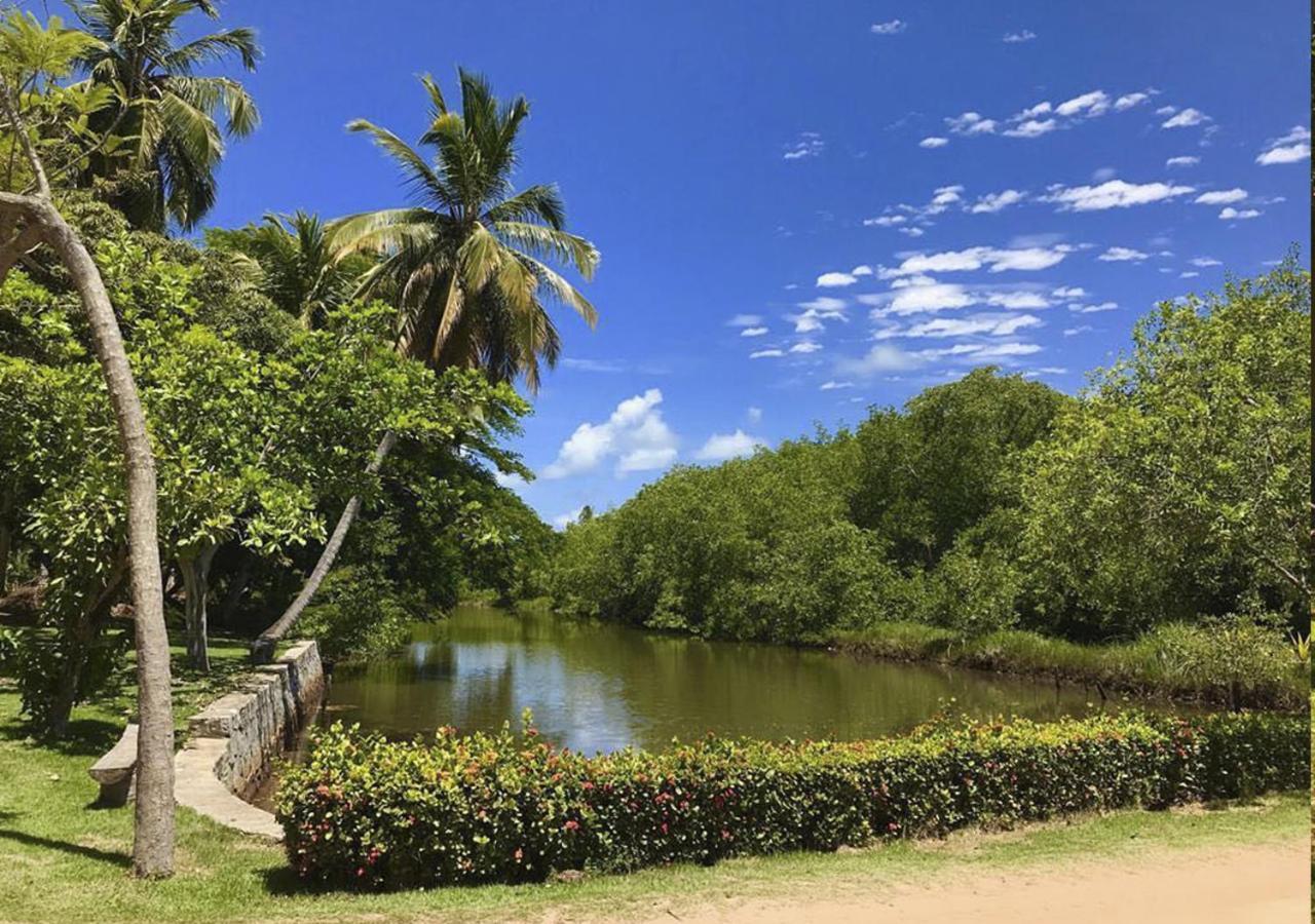Eco Pousada Paraiso Dos Coqueirais Japaratinga Exterior photo